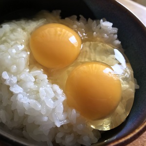 大寒の卵 しあわせ卵かけご飯 ちぃたま30個 平飼い卵（本州四国九州お届け限定）