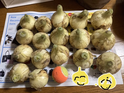 みんなの投稿の画像