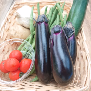 野菜セット（ジャガイモ、インゲン、ニンニク、ミニトマト他）【無農薬】60サイズ便