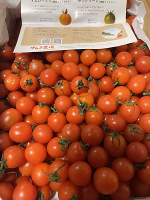 みんなの投稿の画像