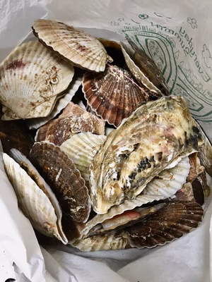 みんなの投稿の画像