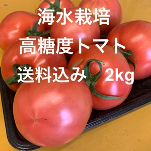 ★海水栽培★高糖度トマト　2kg 送料込み(東海、北陸地方)