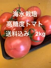 ★海水栽培★高糖度トマト　大分県産　2kg