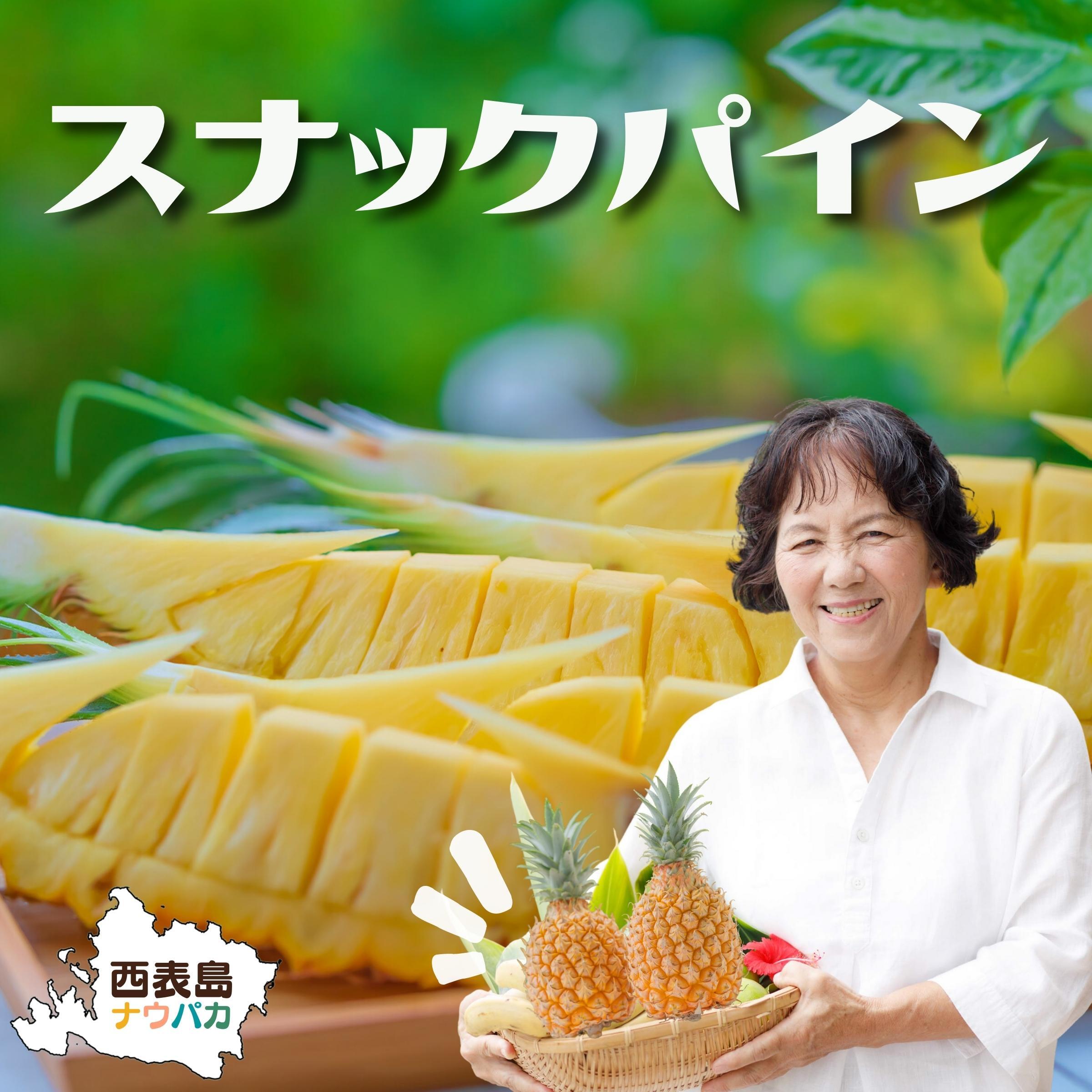 スナックパインの産直通販・お取り寄せ商品｜ポケットマルシェ｜産地