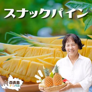 【4月発送】☆国内シェア0.3％☆世界自然遺産『西表島産のスナックパイン』