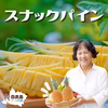 【4月発送】☆国内シェア0.3％☆世界自然遺産『西表島産のスナックパイン』