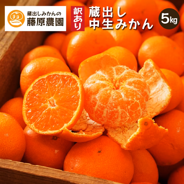 蔵出しみかん中生｜和歌山県海南市下津町の特産品、蔵出しみかんの希少な早生品種