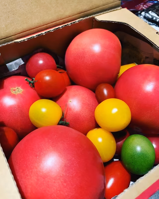 みんなの投稿の画像