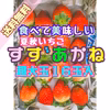 夏秋いちご「すずあかね」１６玉入【ギフト用】