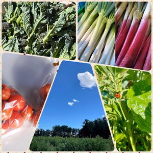 【茨城の農家5名によるコラボセット】言の葉コラボ3月号！