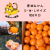 愛情たっぷりで育った有田みかん★温州みかん　秀品　S・M・Lサイズ　約5キロ