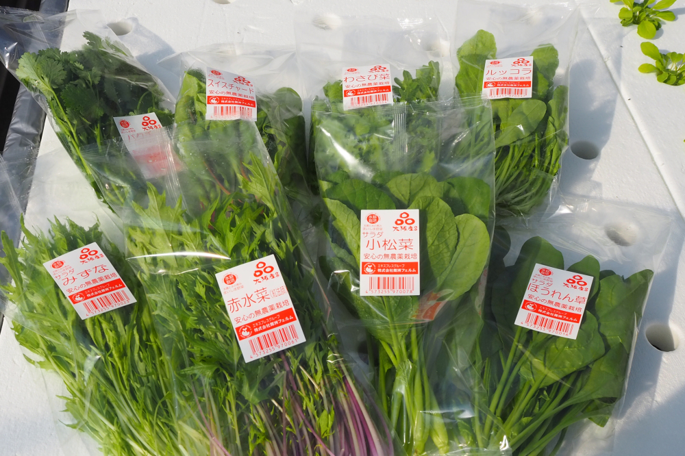 市場 送料一律200円 ほうれん草 40g×5袋セット 乾燥野菜