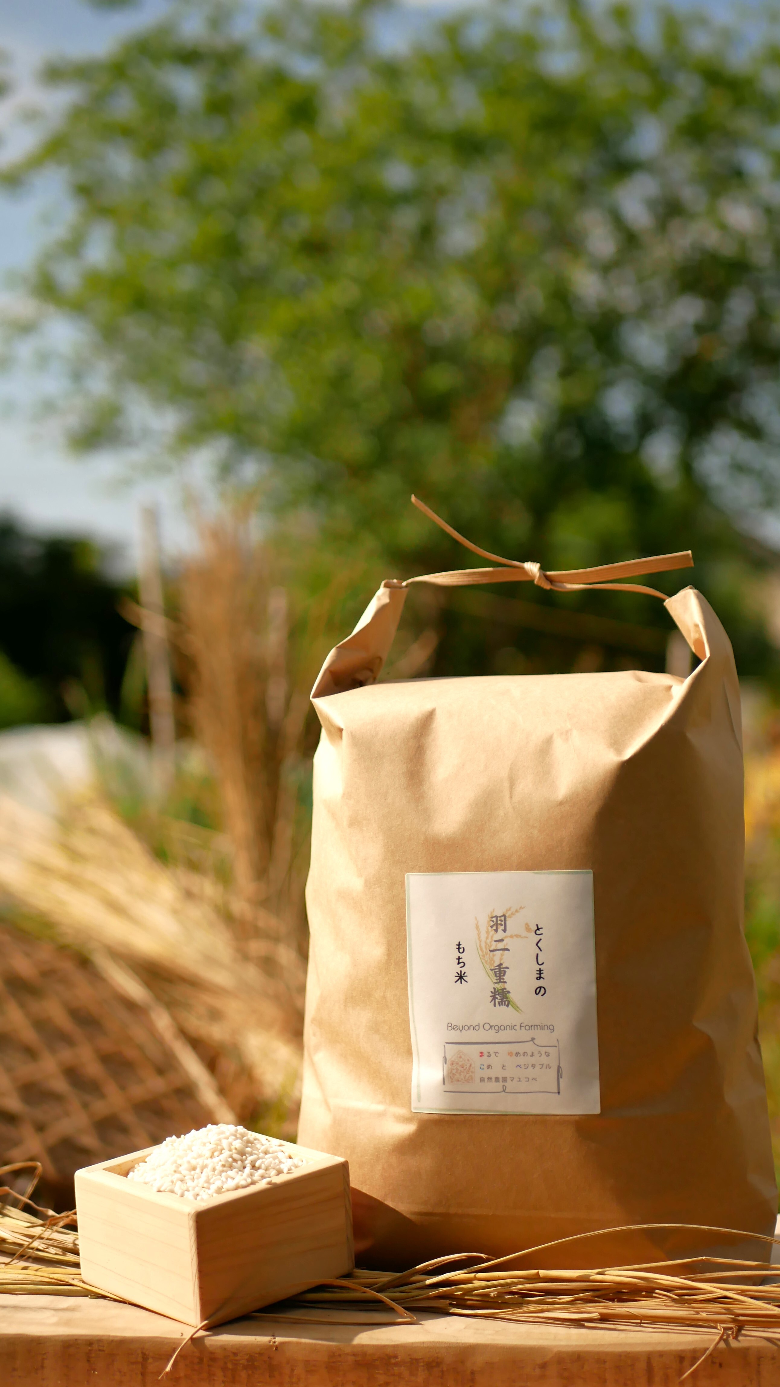 安心の日本製 【12月上旬頃仕上がり】自然栽培米で作ったなまこめ