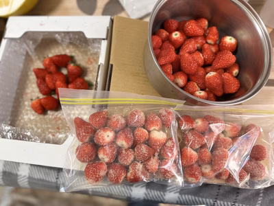 みんなの投稿の画像