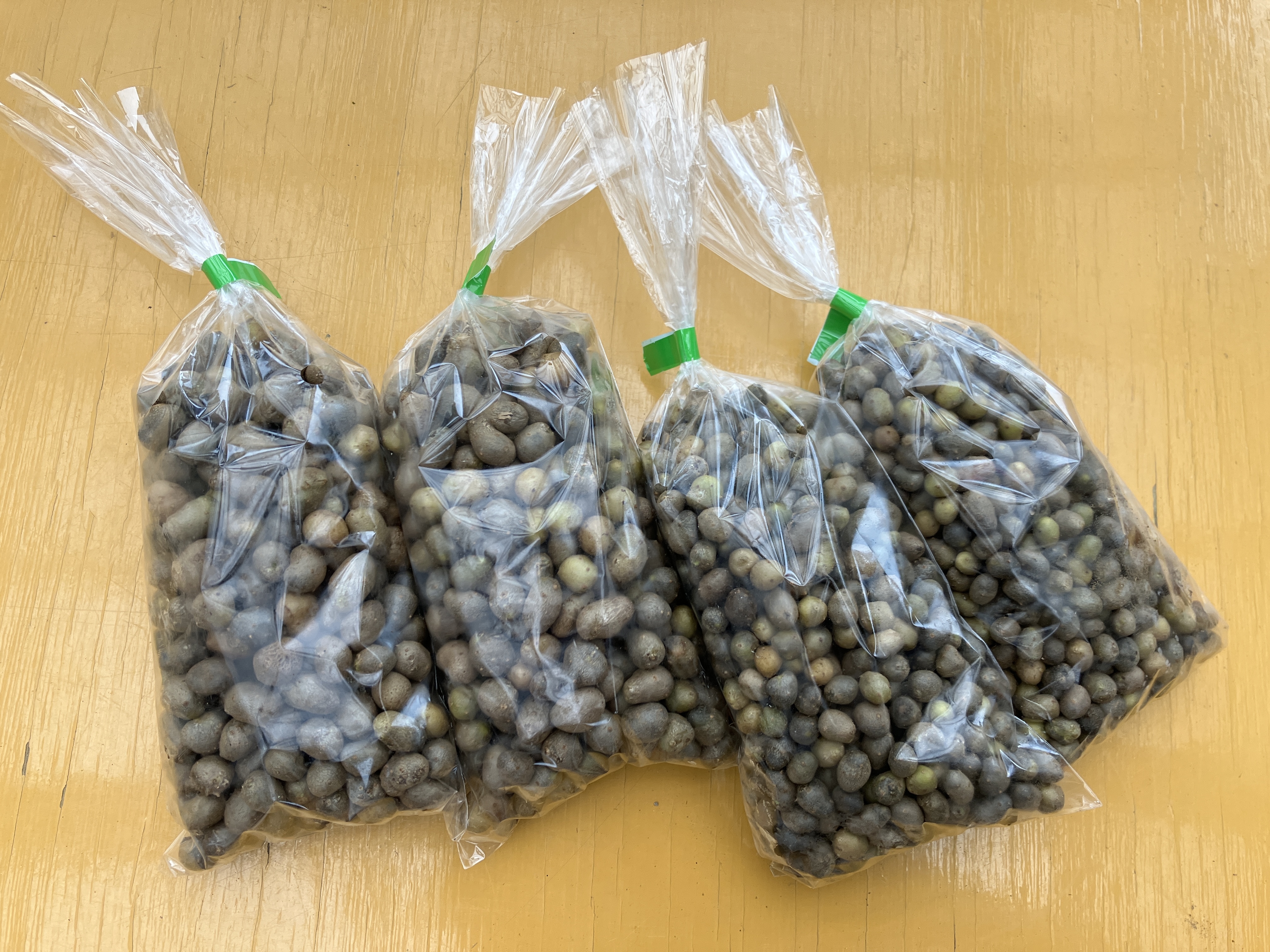 茨城県産 むかご 15kg d842123cf30e4fa9f2531a477f4c5d