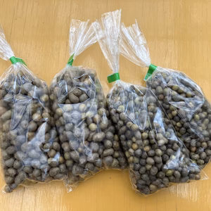 【むかごご飯や天ぷら、塩ゆでに！】ほんやま自然薯のムカゴ(零余子)　Mサイズ