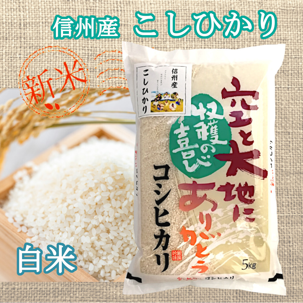 新米】《白米》若いお百姓の育てたお米 信州産 こしひかり 令和5年産