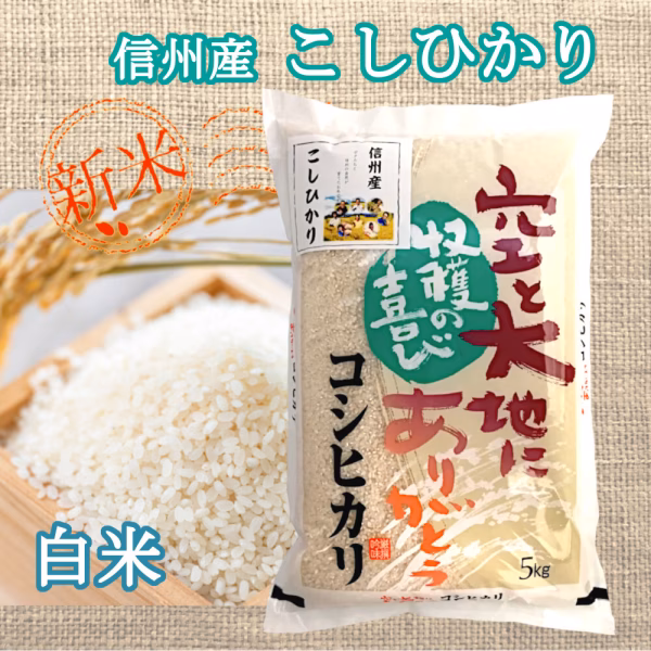 【新米】《白米》若いお百姓の育てたお米　信州産 こしひかり　令和6年産