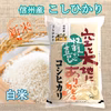 【新米】《白米》若いお百姓の育てたお米　信州産 こしひかり　令和6年産
