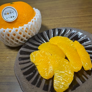 水々しくさっぱり爽やか 安心オーガニックはっさくLサイズ(有機八朔)