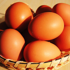 【平飼い卵】おぶせのたまご（定期購入：月１回発送）＜常温便＞