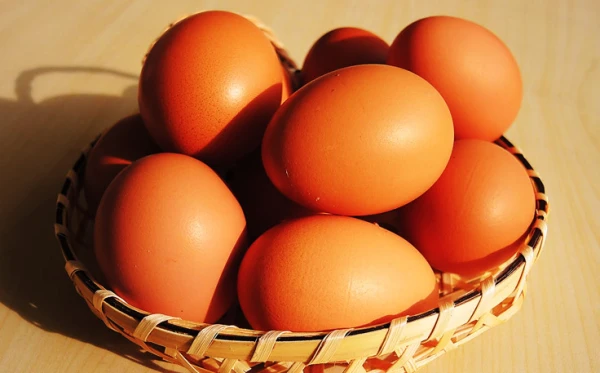 【平飼い卵】おぶせのたまご（20～160個）＜常温便＞