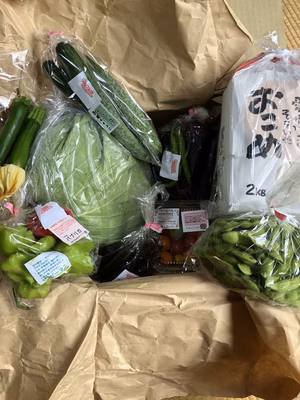 みんなの投稿の画像