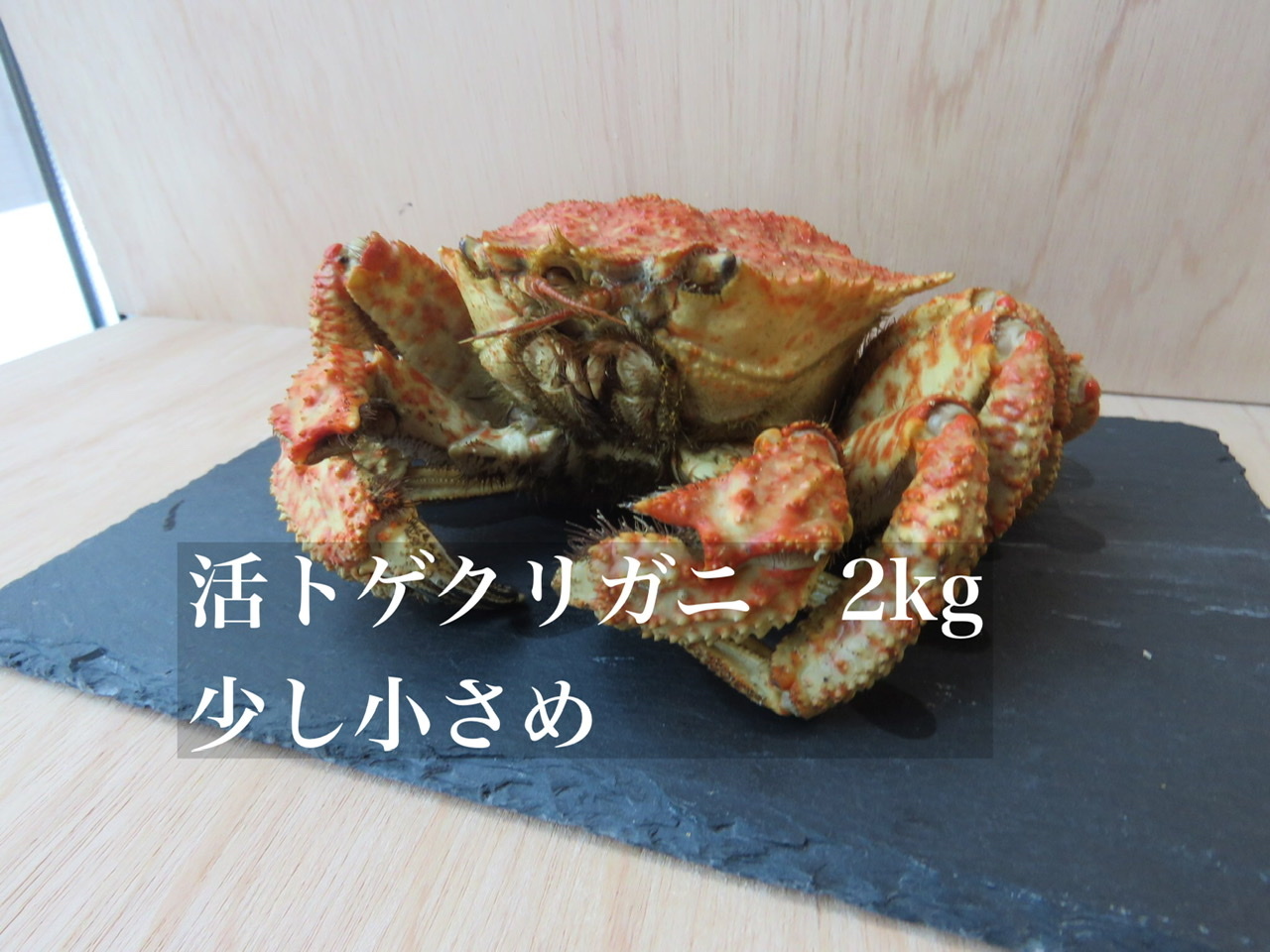 少し小さめ 活トゲクリカニ 2kg 生きたまま発送 農家漁師から産地直送の通販 ポケットマルシェ