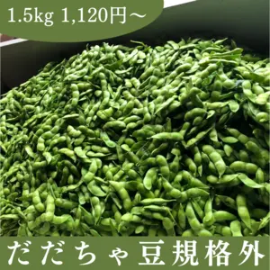 だだちゃ豆 規格外品 山形県鶴岡市特産の枝豆の王様 量り売り 季節限定品