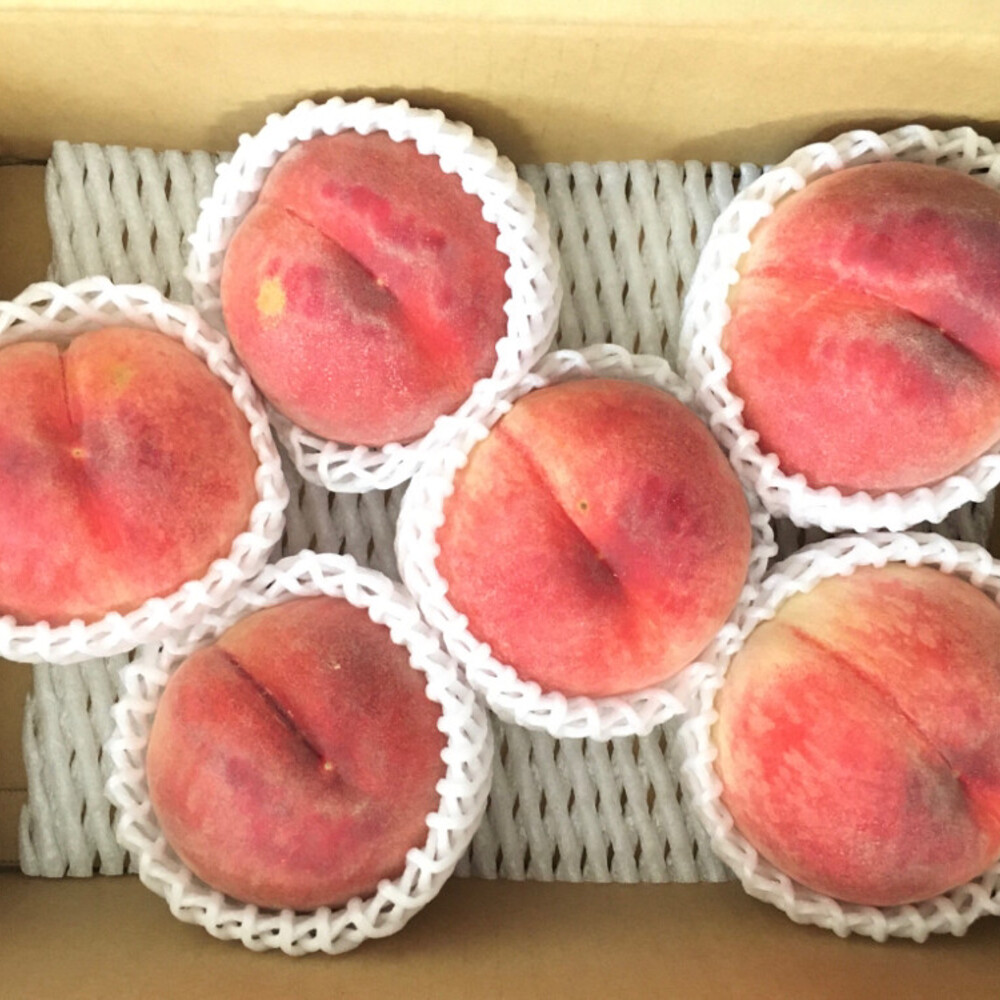 桃好きの人は絶対に買わないでください 白桃はねだし 三井農園 農家漁師直送のポケットマルシェ