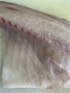 イワシの舞う島で育っためでたい魚 シマアジ1.2キロ 丸のまま