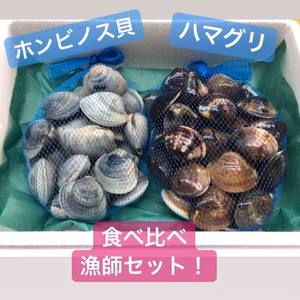 ホンビノス貝(ss)とはまぐり(s)　食べ比べセット