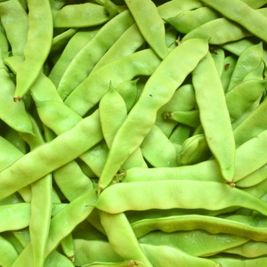 野菜・野菜セットのお取り寄せ商品 |もぐもぐダイレクト