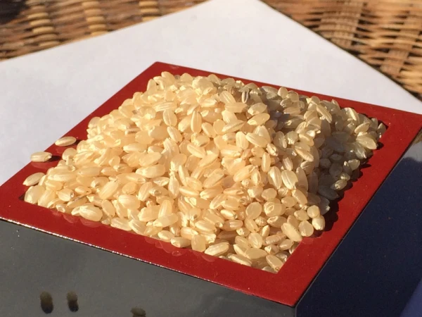 大利根の恵みいっぱい【特別栽培米】コシヒカリ、玄米10kg