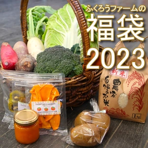 【福袋2023】甲斐路の恵みをたっぷりお届け！お野菜・果物・加工品の贅沢セット