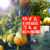 本場高知県産！ゆず玉5ｋｇ（45～65個・農薬：栽培期間中不使用）