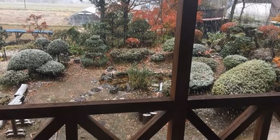 雪ですよーー！