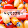 かえでさま専用　無農薬サラダセット①×2セット
