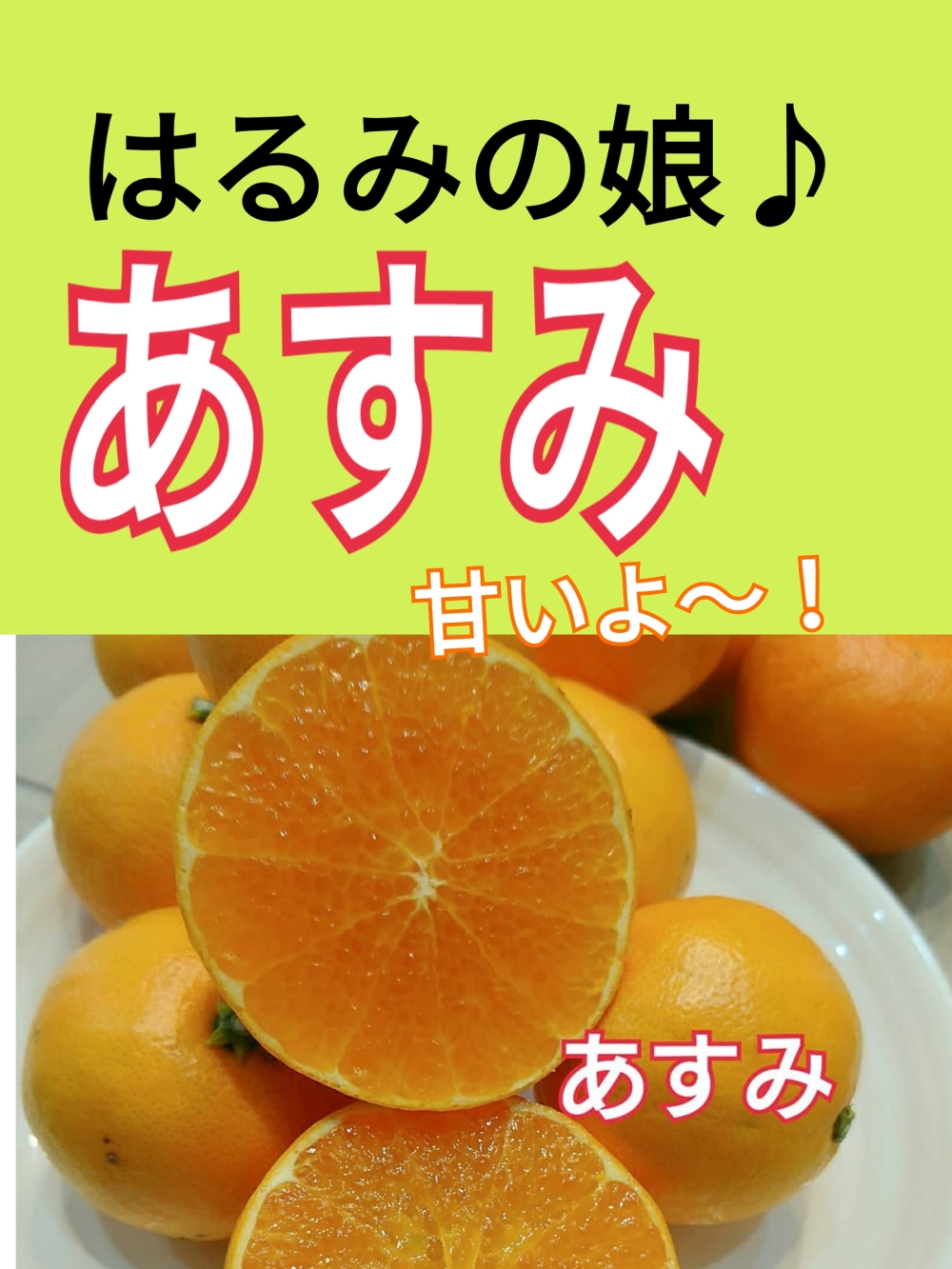 家庭用）3種人気味わいセット【あすみ×タロッコブラッドオレンジ