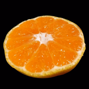 今期送料無料！有田みかん～第1弾～魚介系有機肥料 訳あり