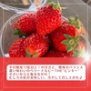 【金賞受賞】小粒 長野産夏秋いちご”ベリーナルビー”