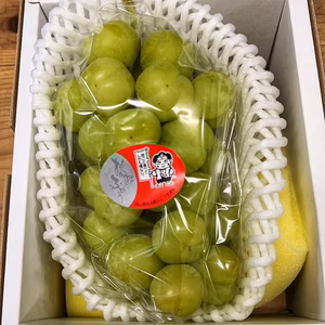 【ご進物用】桃太郎ぶどう※クール冷蔵便