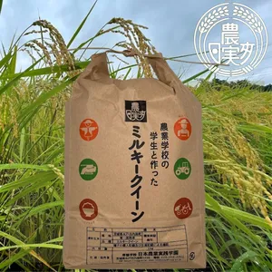 日本農業実践学園の学生と作った太陽の恵みミルキークイーン無洗米・分搗き可