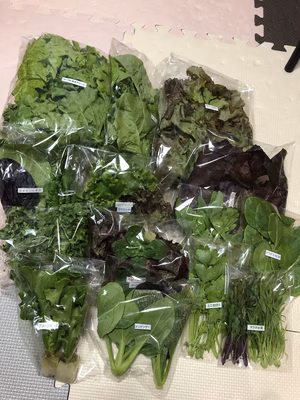 みんなの投稿の画像