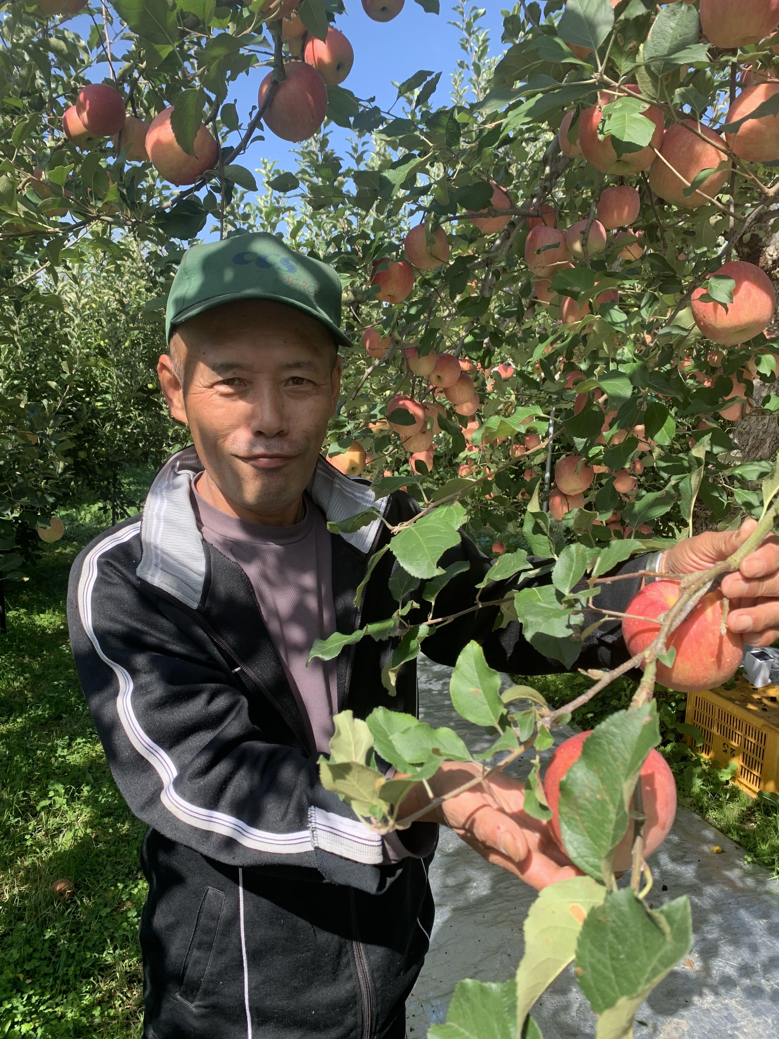 山形県天童市｜小座間果樹園｜小座間助吉さんの生産者