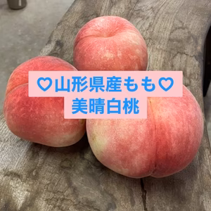 お試しサイズ♡美晴白桃♡山形県産もも♡