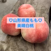 お試しサイズ♡美晴白桃♡山形県産もも♡