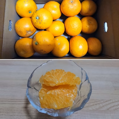 みんなの投稿の画像