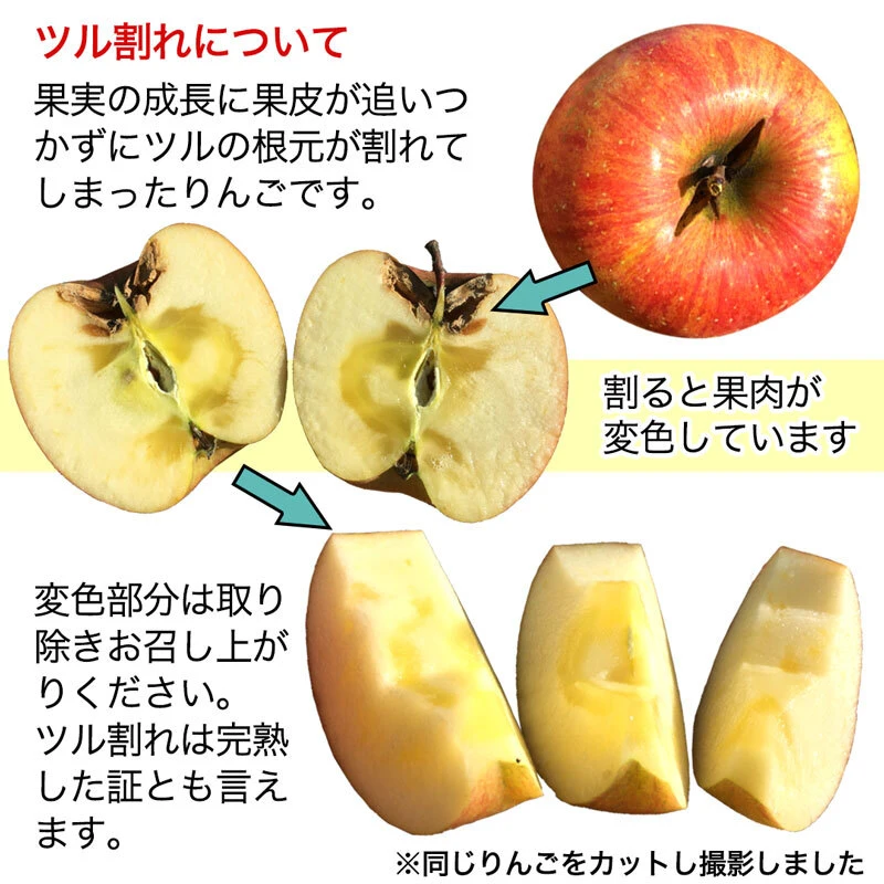 【旬のおまかせ】訳あり 信州りんご（無選別）約2.5kg 7～16玉
