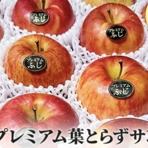 青森県産「大人気」蜜入りプレミアム葉とらずさんふじ自然味5kg糖度13%以上